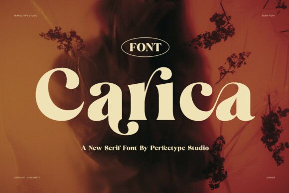 Carica Font for Bold Web Design