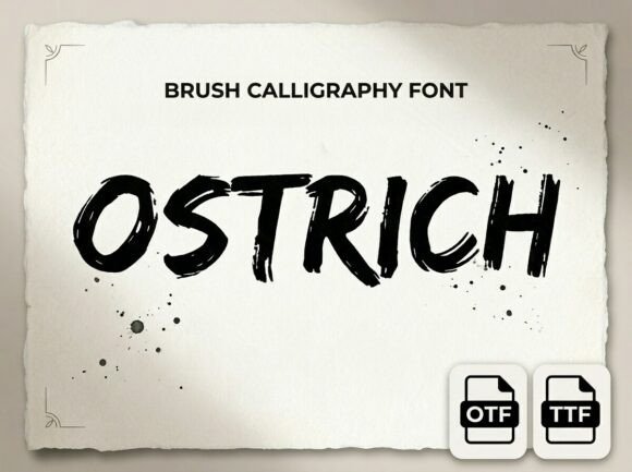 Ostrich Font: A Bold Statement in Design