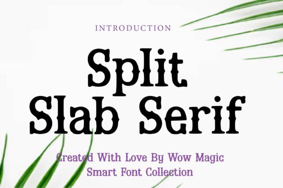 Split Slab Serif Font